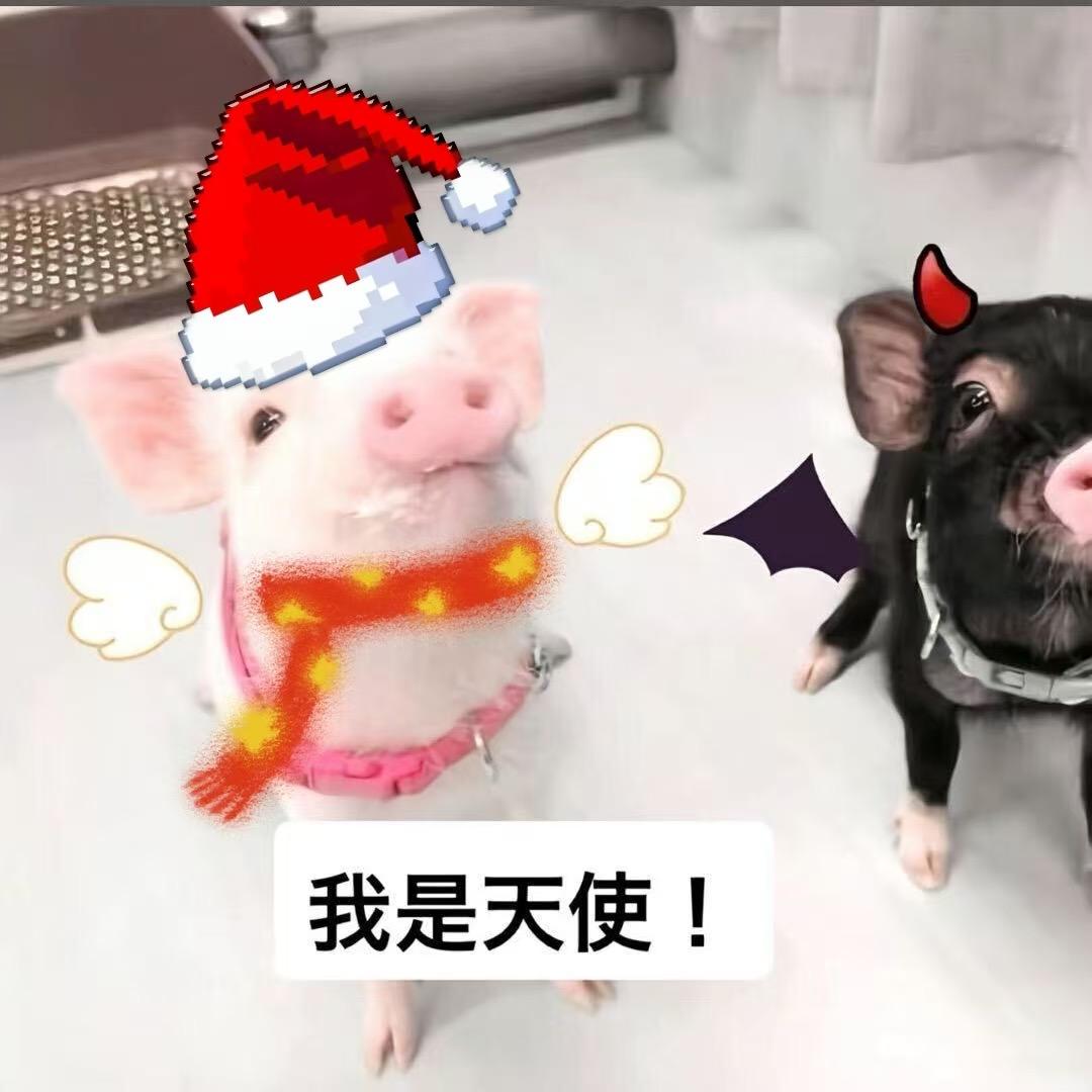 土豆超级大🥔（求推荐版）