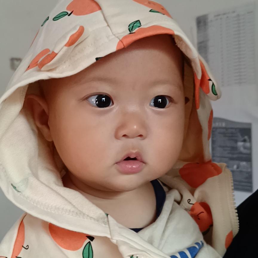 阿洛洛洛