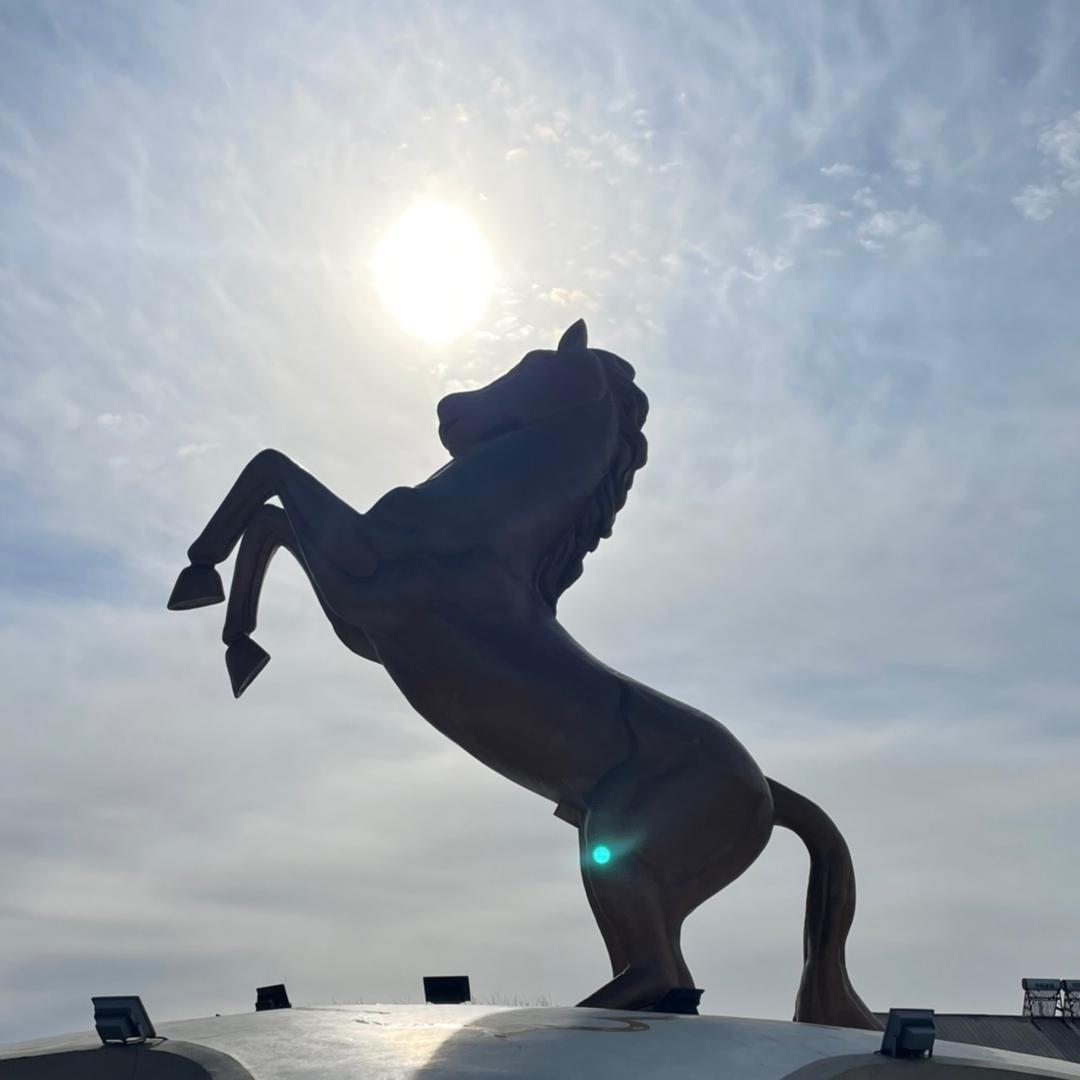 卖IC芯片的小谢