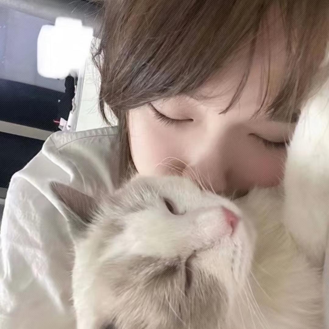凌晨.