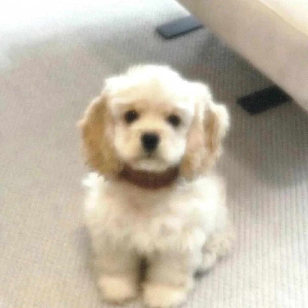 🧩🧩🧩