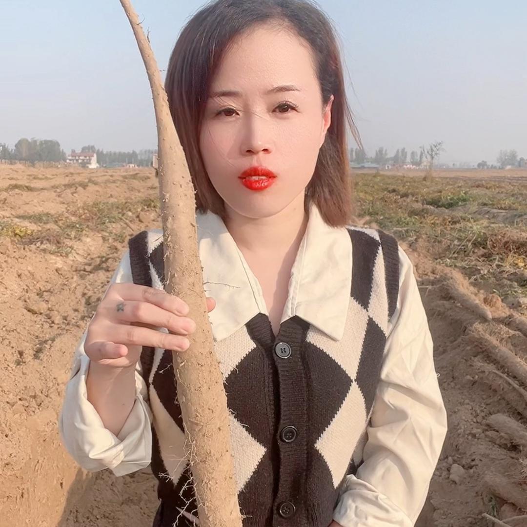 莘县产地果蔬代办 小冷