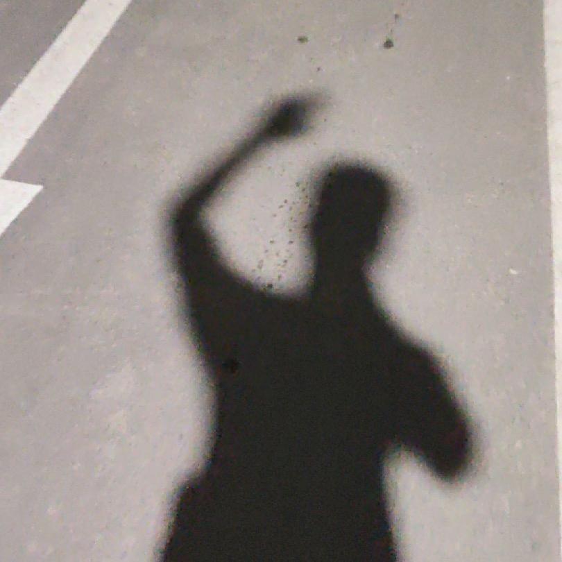 成年霸王龙.🦖