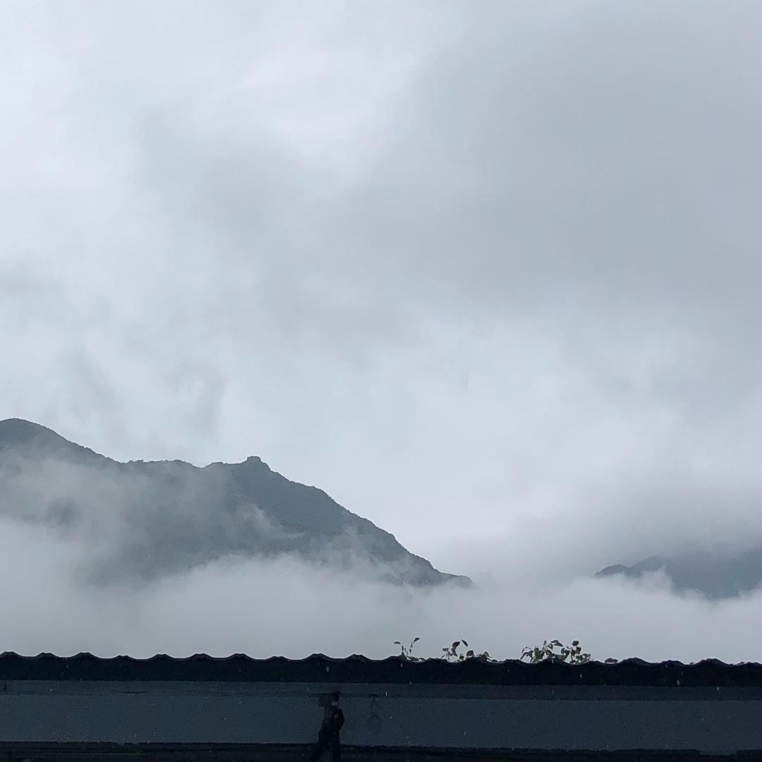 李子