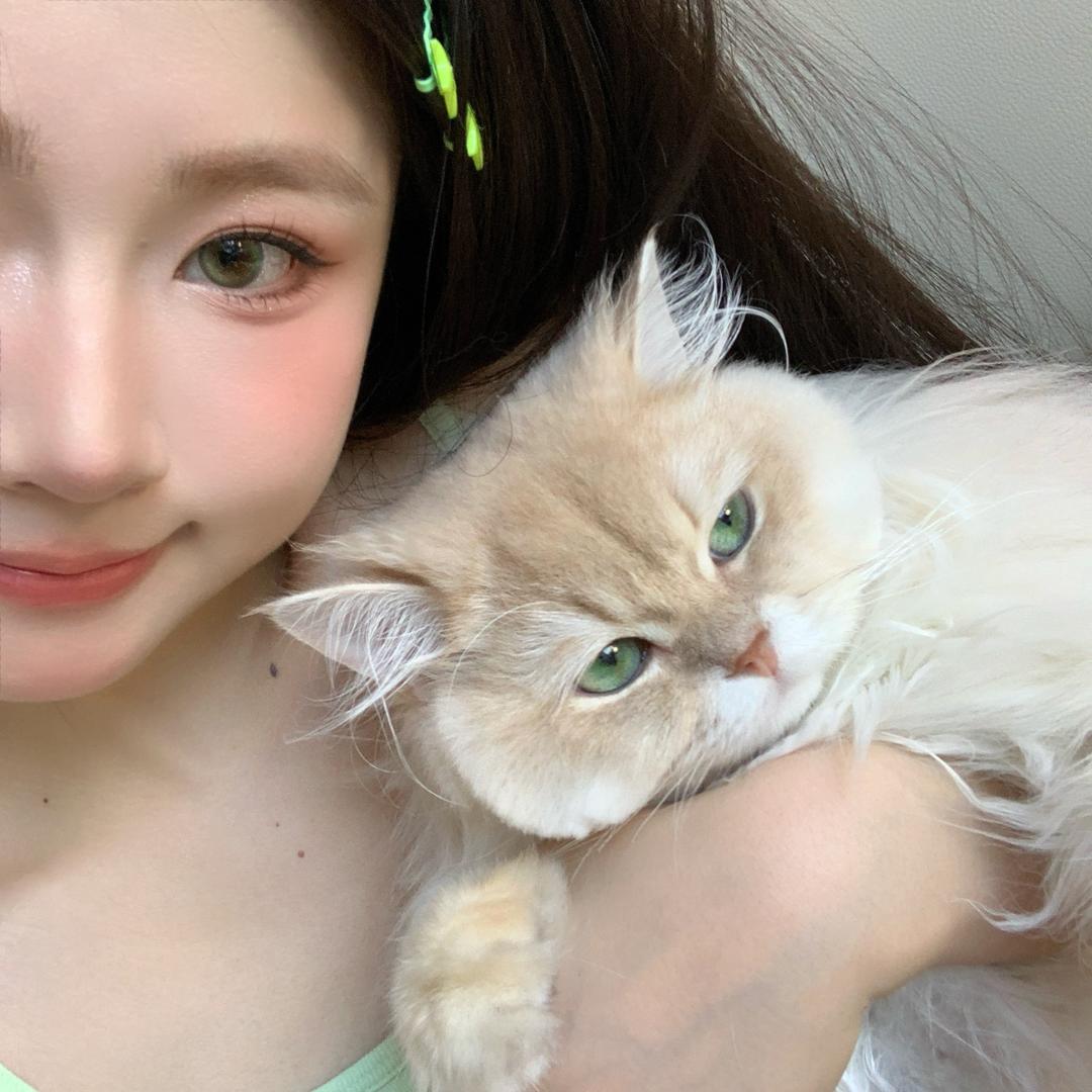 青和碎碎