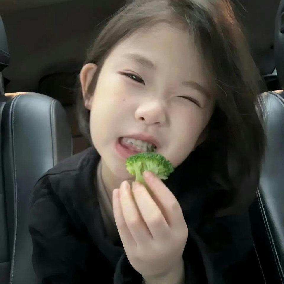 多乐是只猫猫头