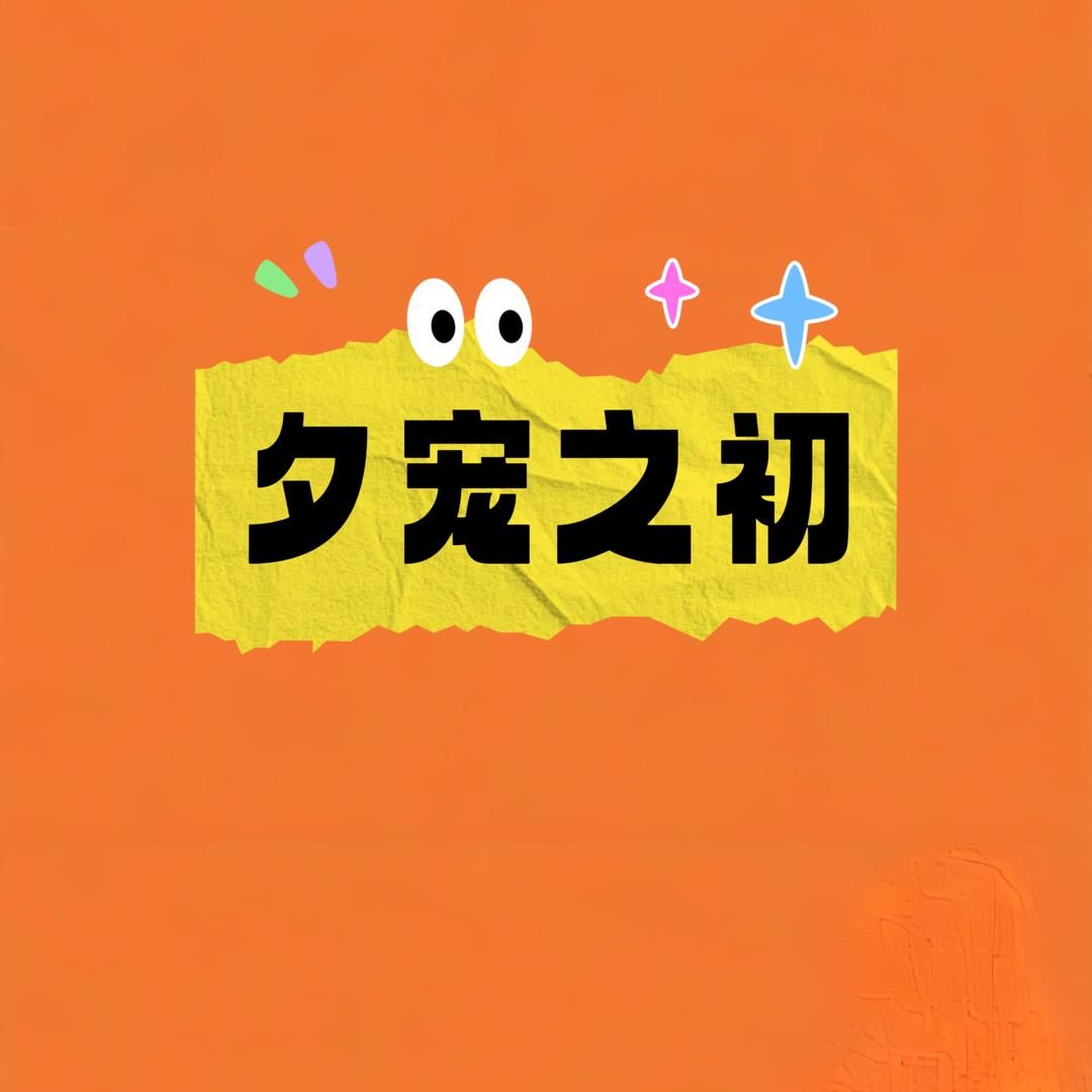夕宠之初