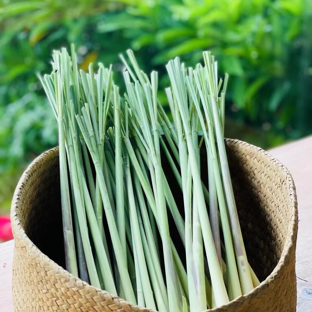 香茅香