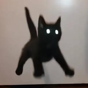 O姨