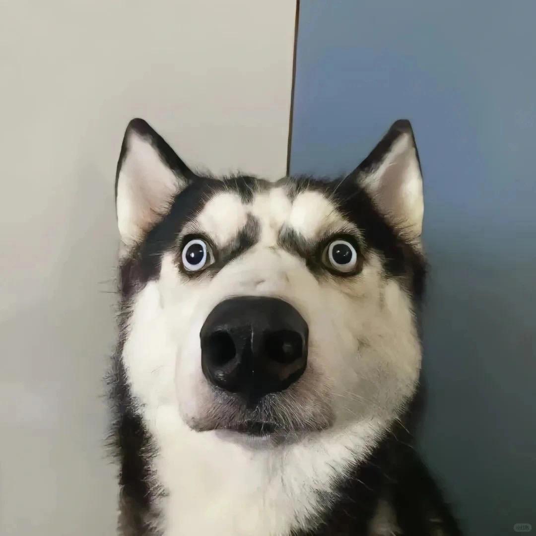 。。