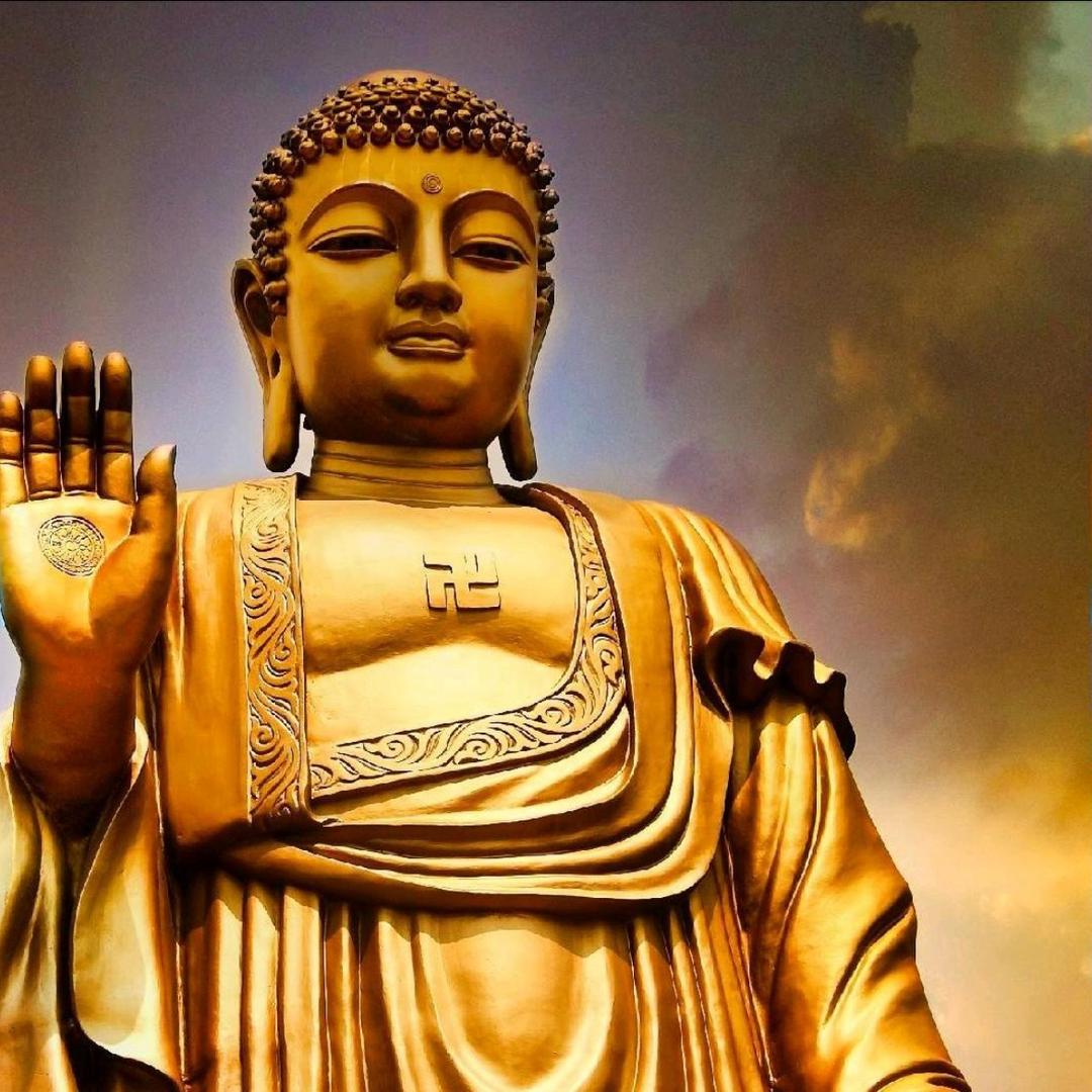 海清🙏