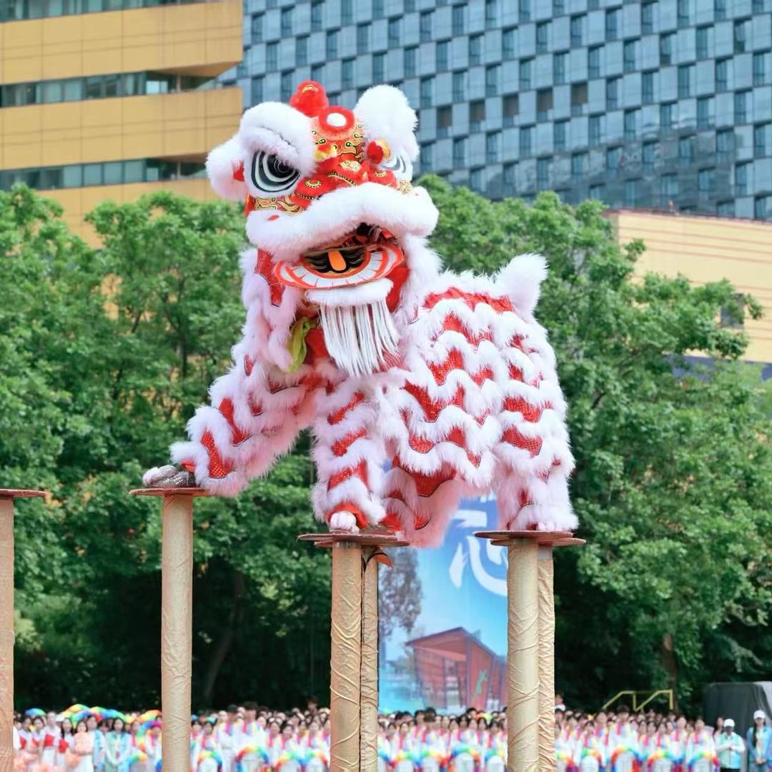 川韵龙狮