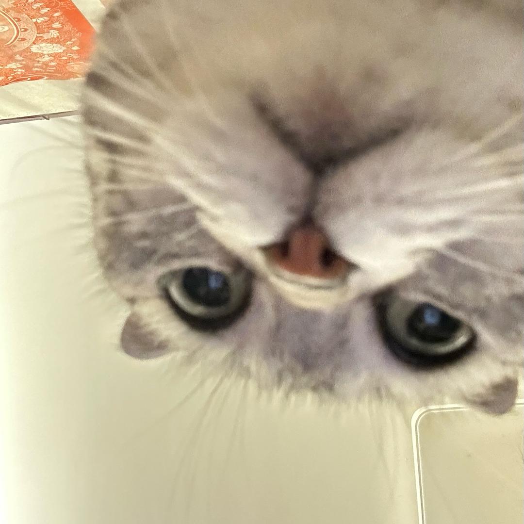 白袜臭脚男同体育生