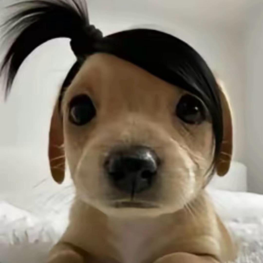 待我用千里眼看看