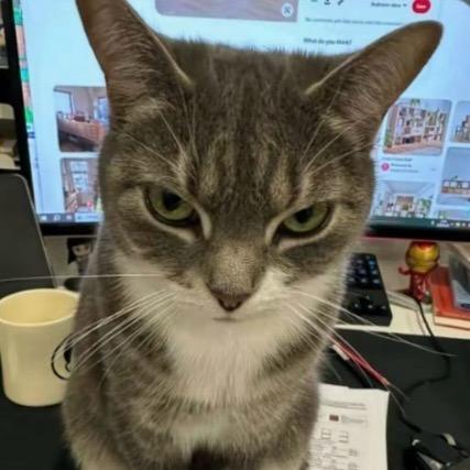 8岁炸毛头小学生