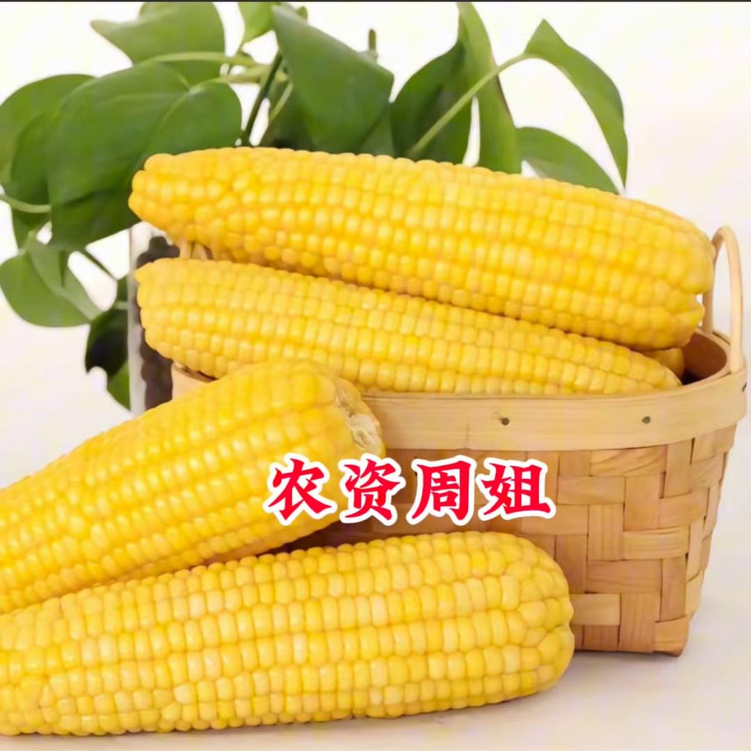 周姐