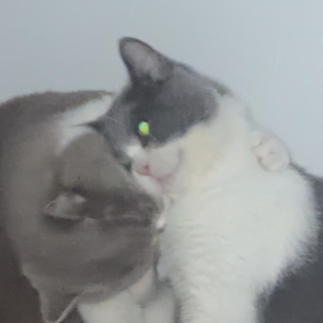 质疑的精神世界