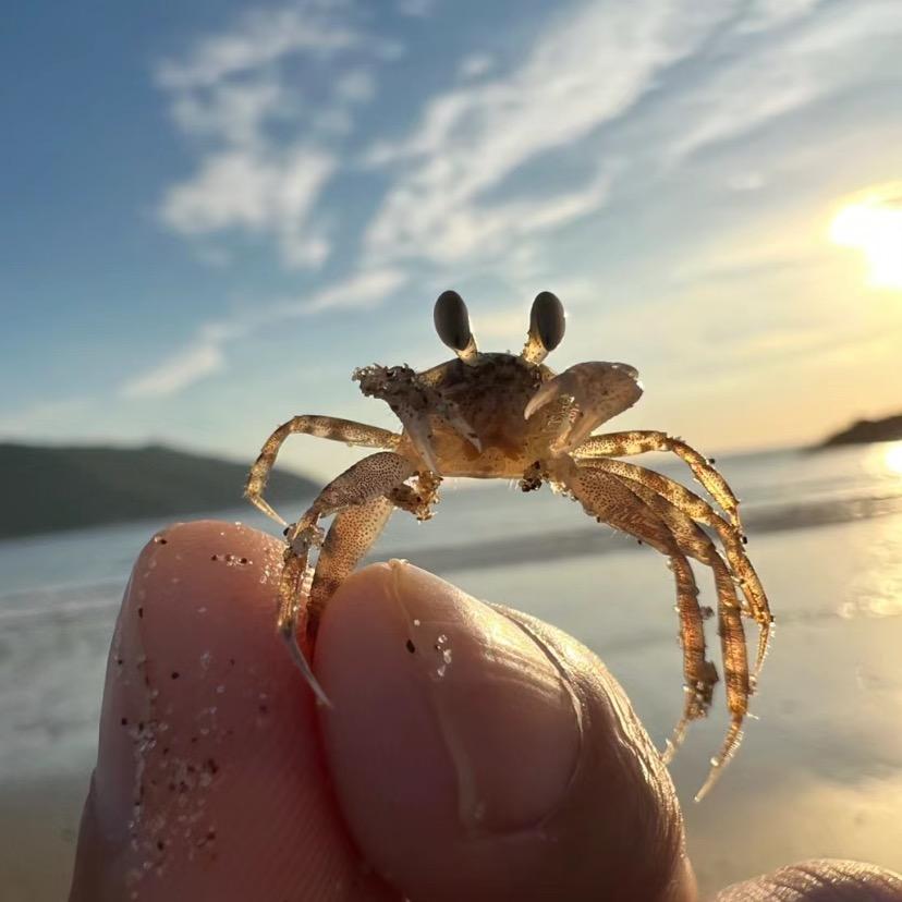 老胡屿海