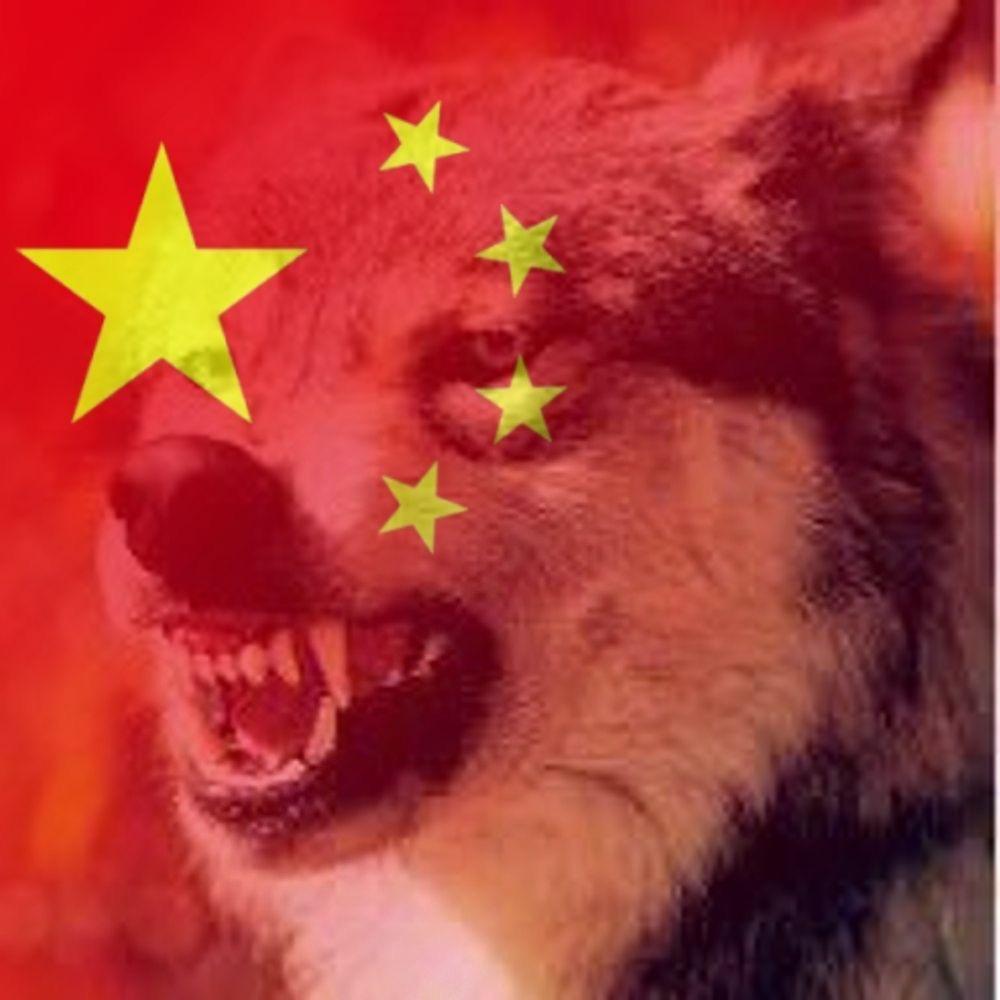 勿忘初🏹心