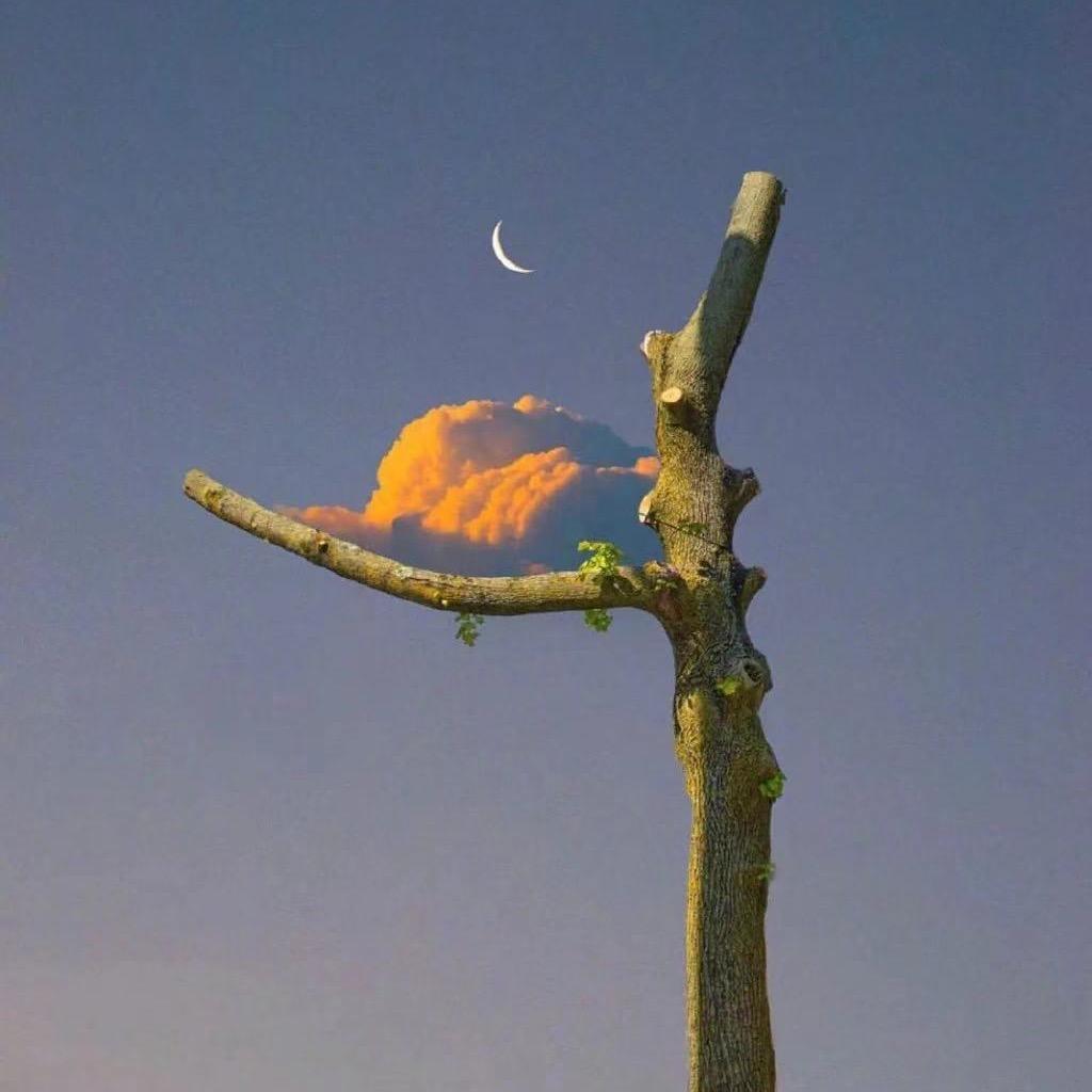 🌈 小盐巴 💋  のღ