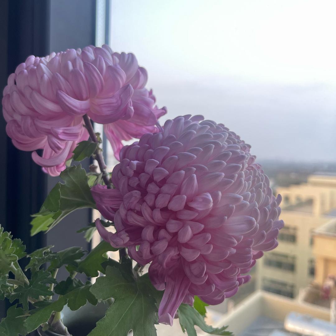 小王宝贝