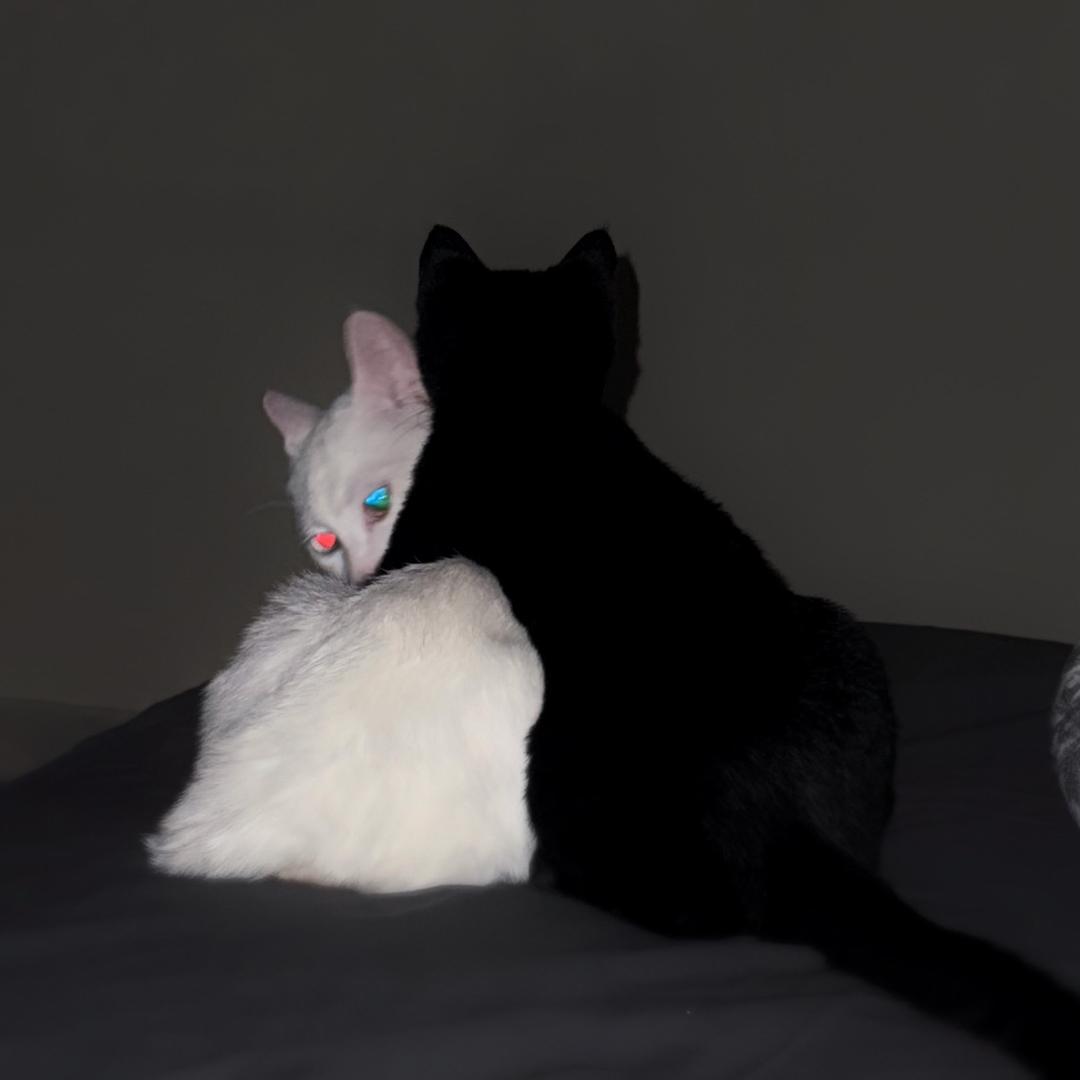 黑白灰是化肥会发挥