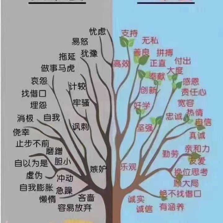 姜老师