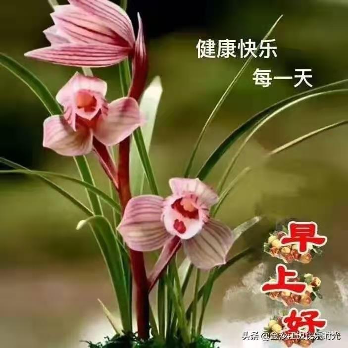 花开富贵人家