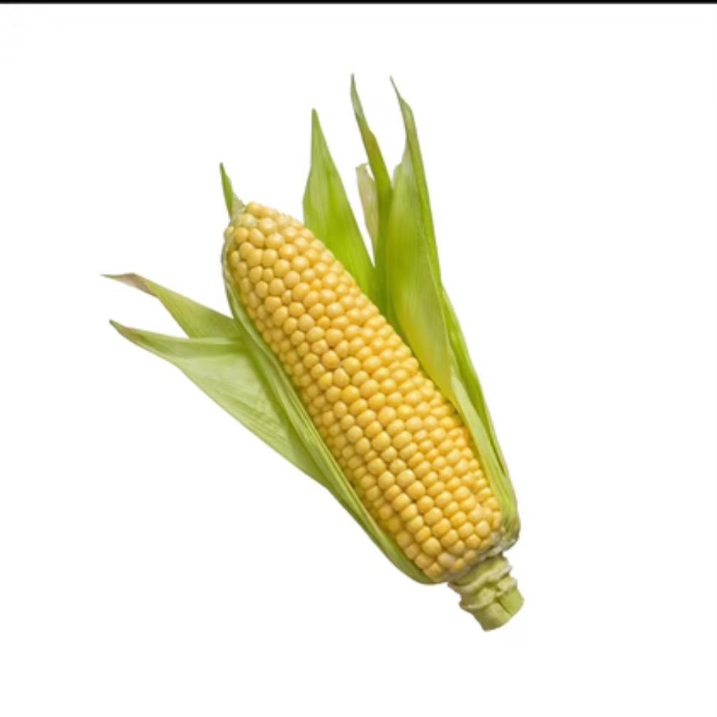 玉米粥🌽
