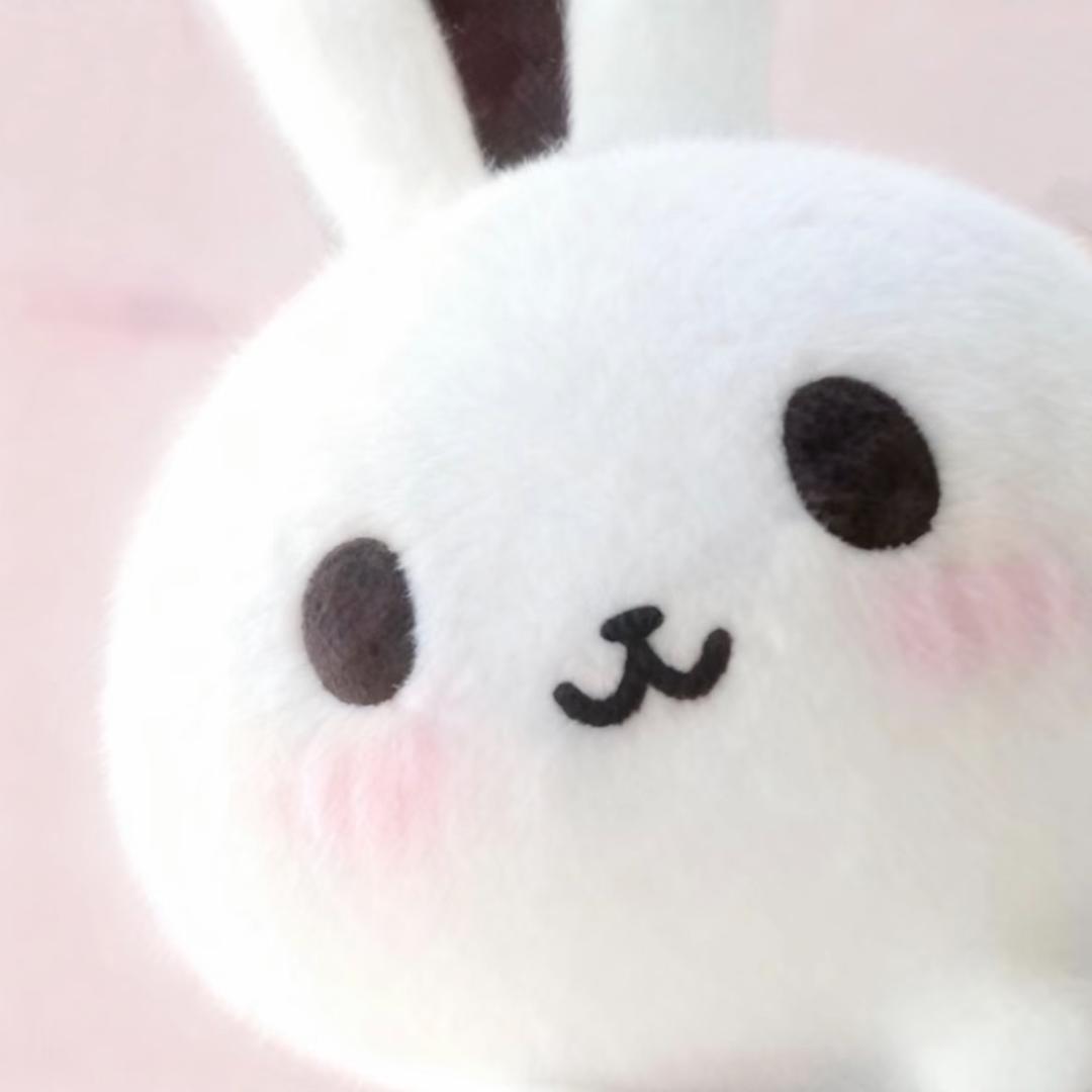 熊就要有个熊样