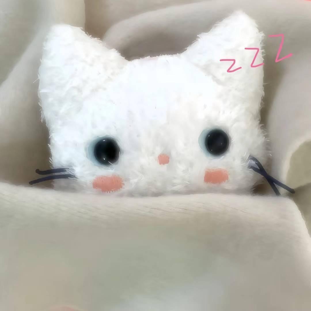 早点睡zZzzz