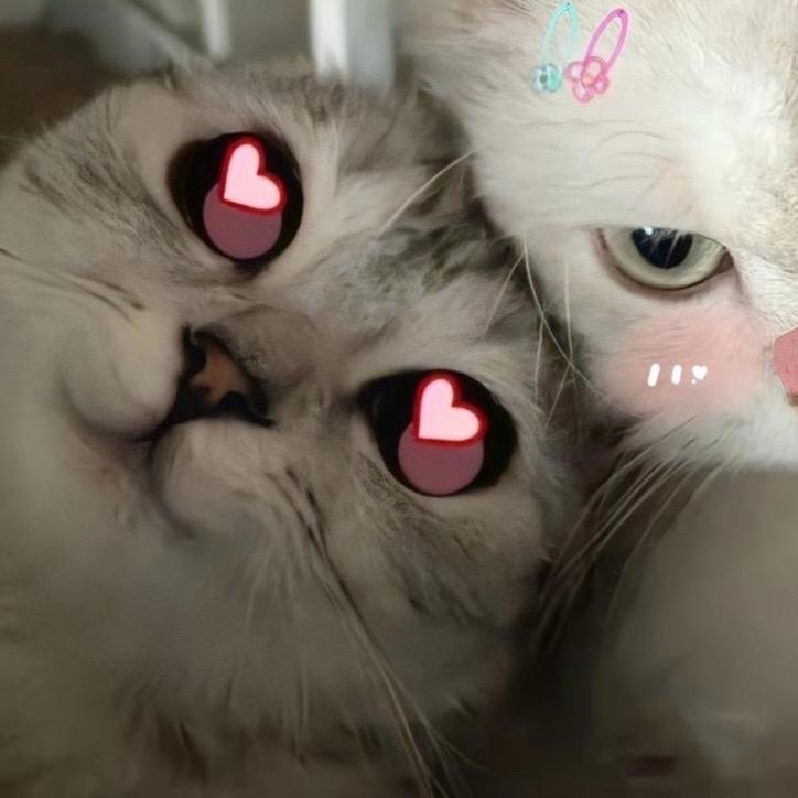 滚筒洗衣机