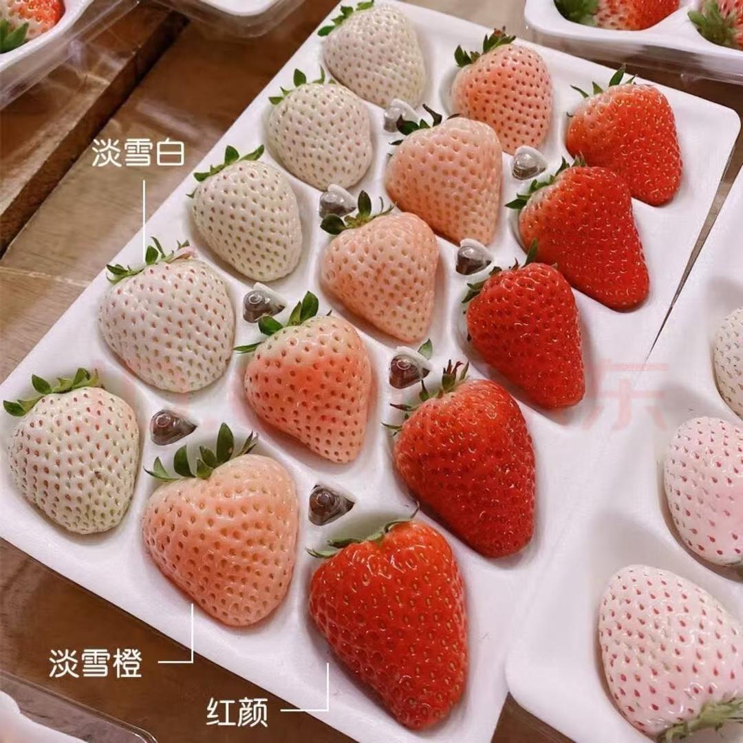 两目山农产品优选