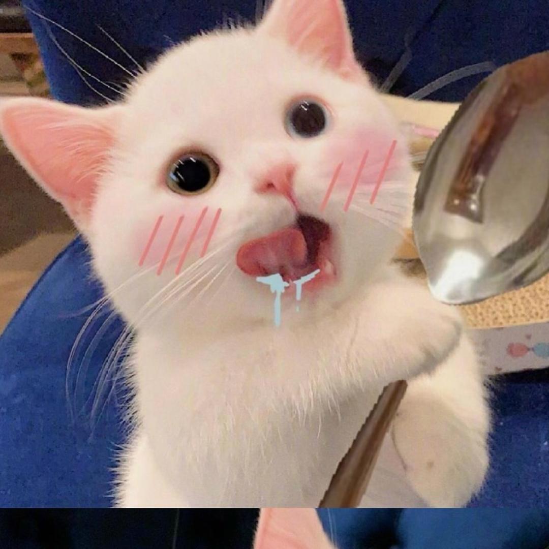 今晚打男人