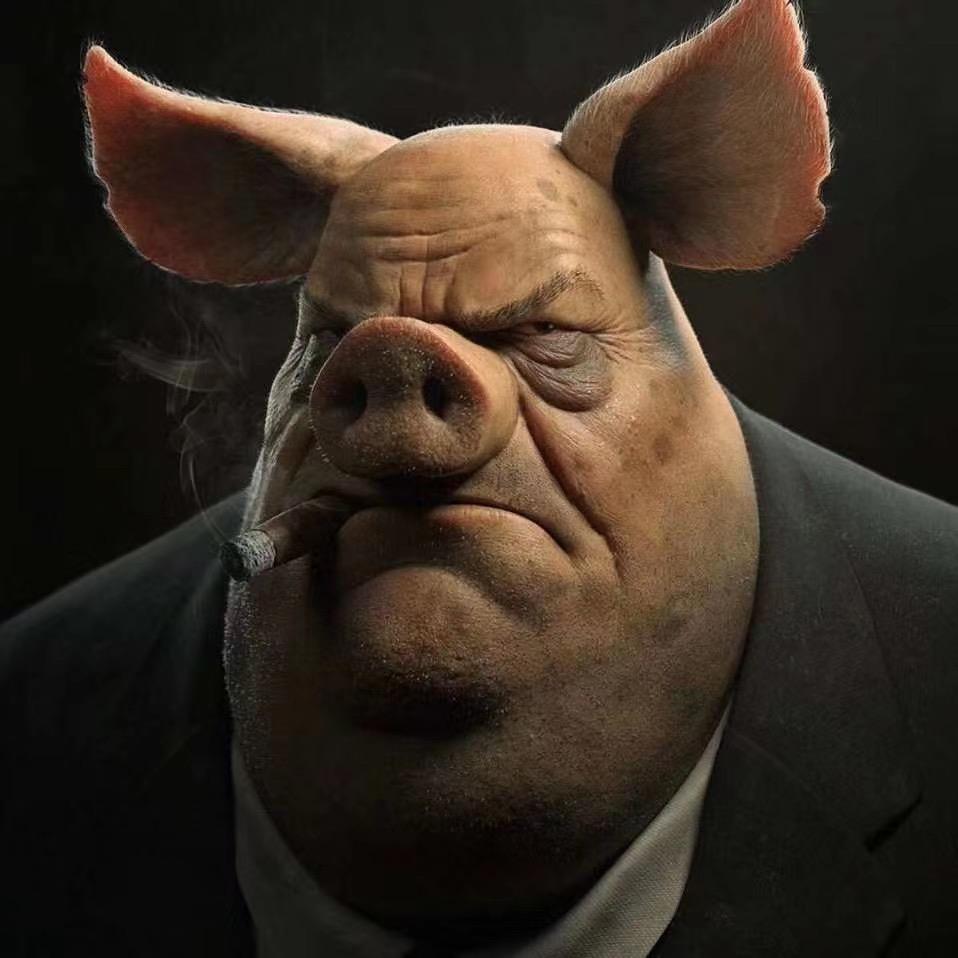 👑👑👑👑👑👑