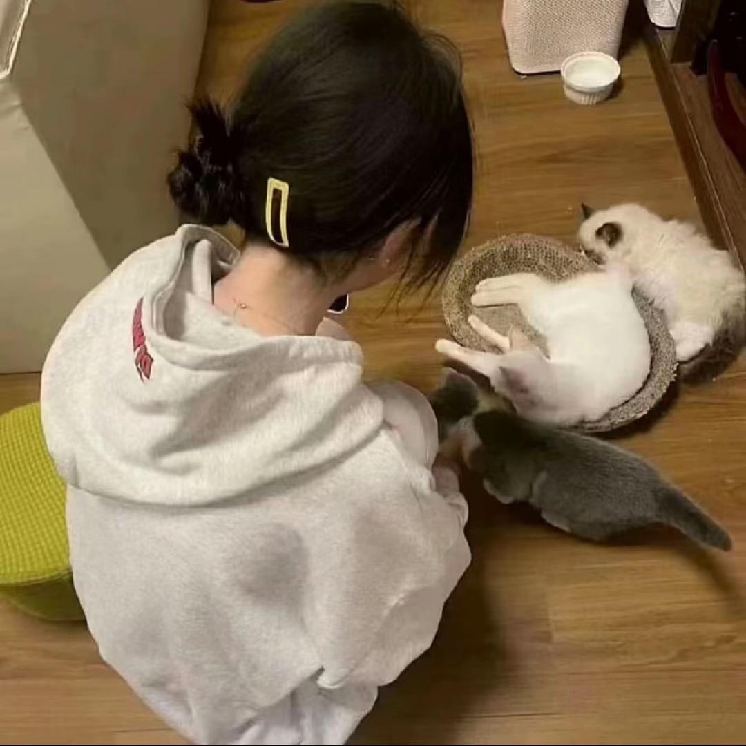 =慧ω慧=!
