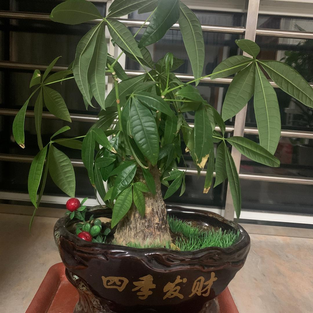 我是个粗.人