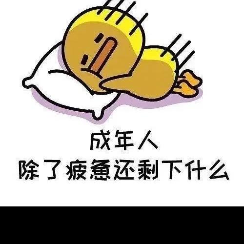 你在干嘛！