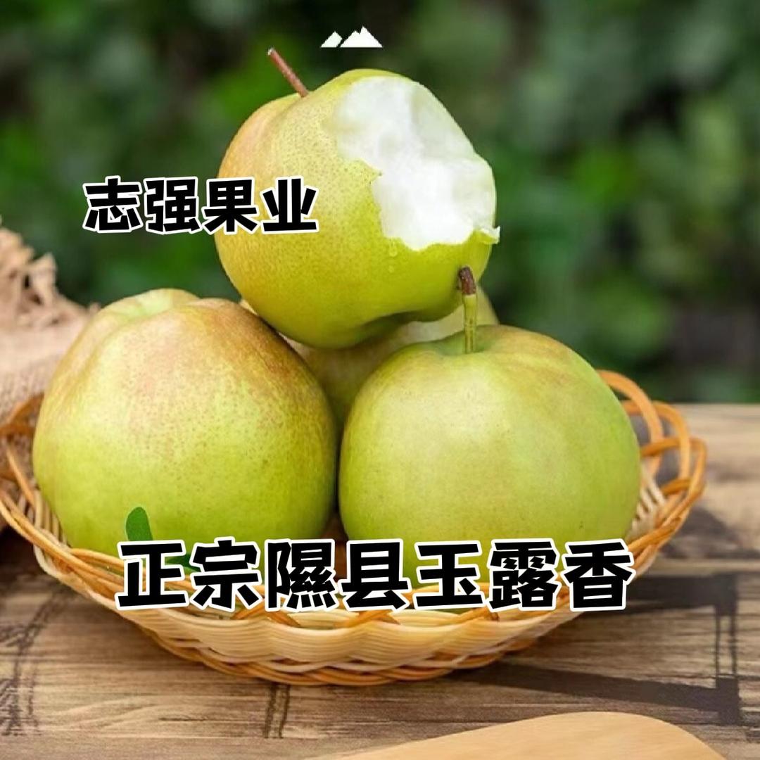 志强果业批发部