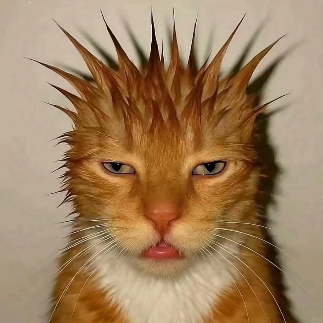 小七