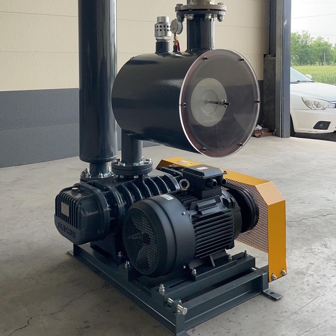 龙铁鲁氏鼓风机