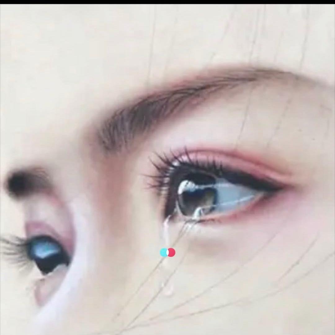 陆陆
