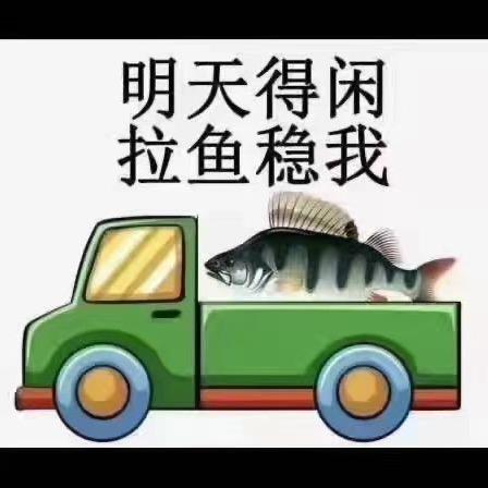鸡仔，活鱼快运