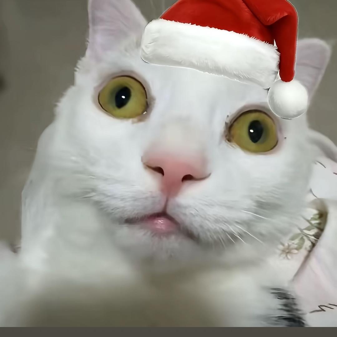 ddtujnk