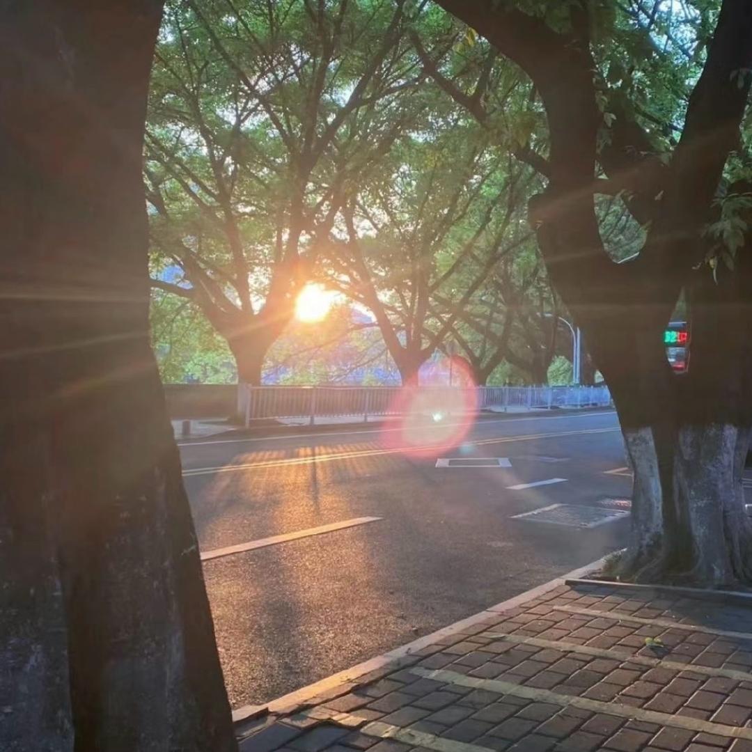 依一🌸