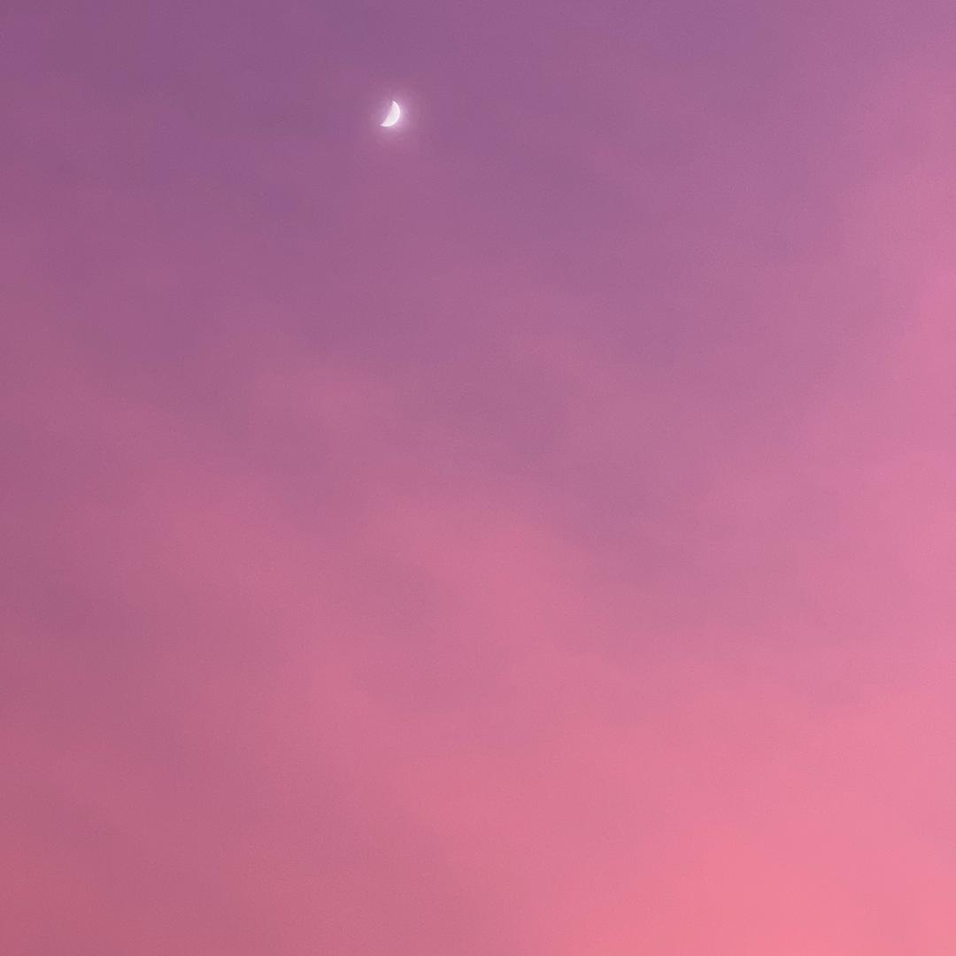 叮小宝🌸