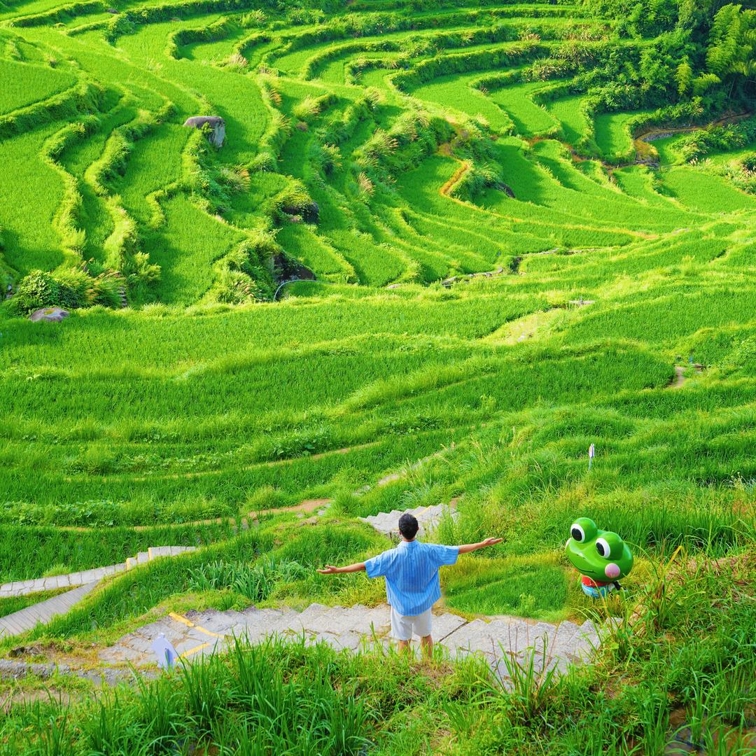 野游