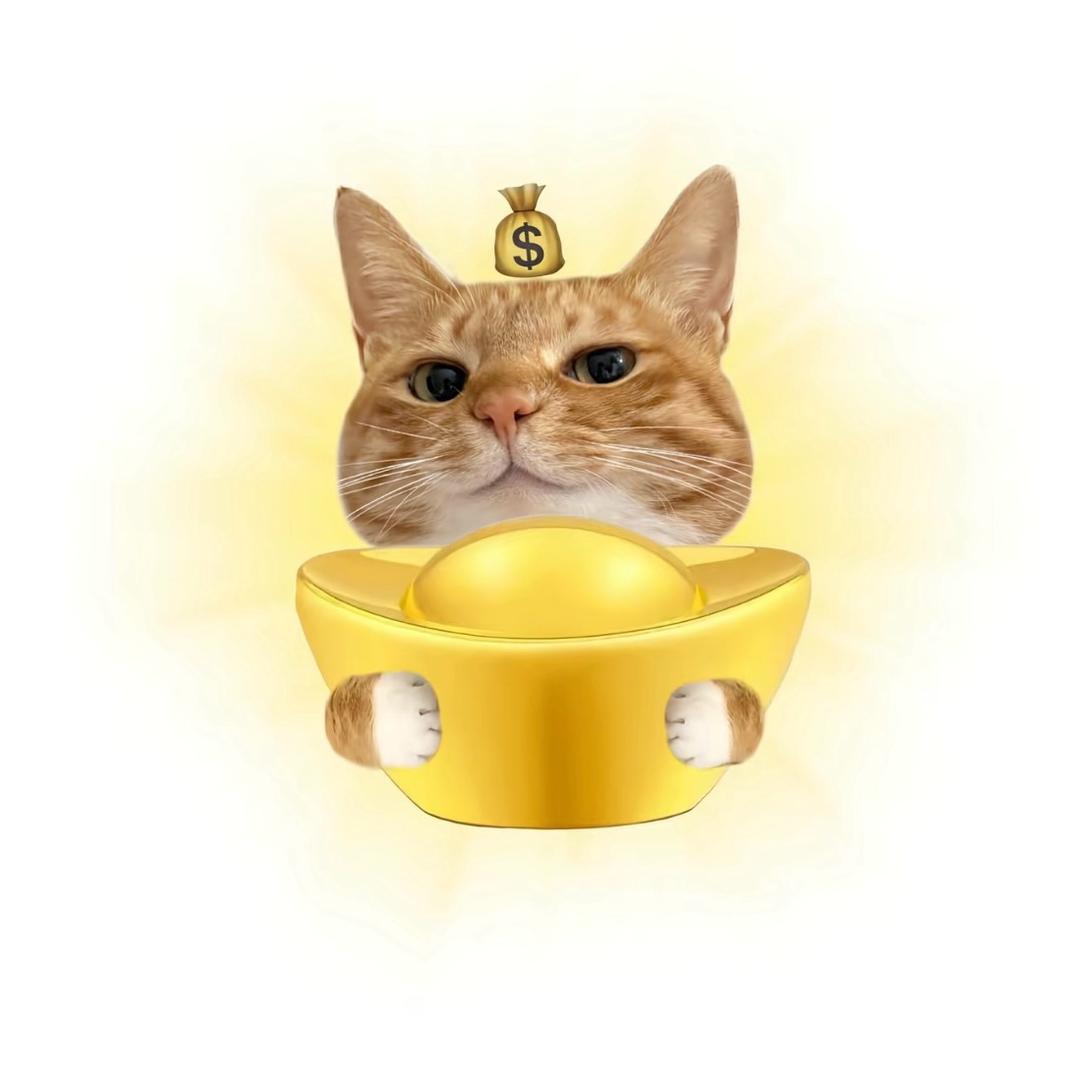 伤心小椰子～🥥