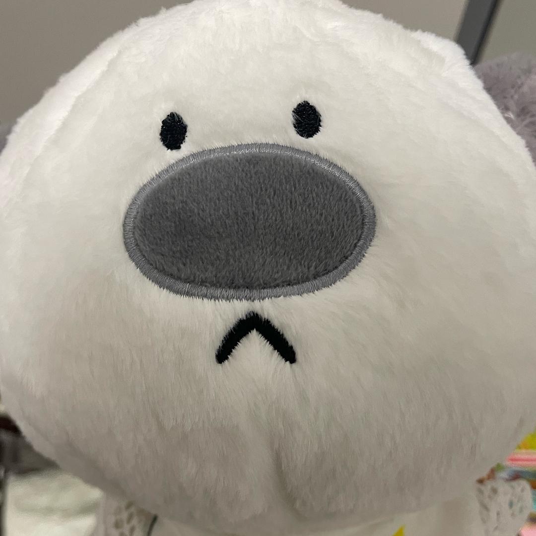 不做伤心的霸王龙