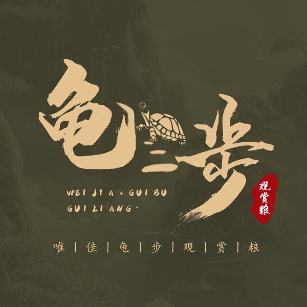 唯佳龟步观赏龟粮